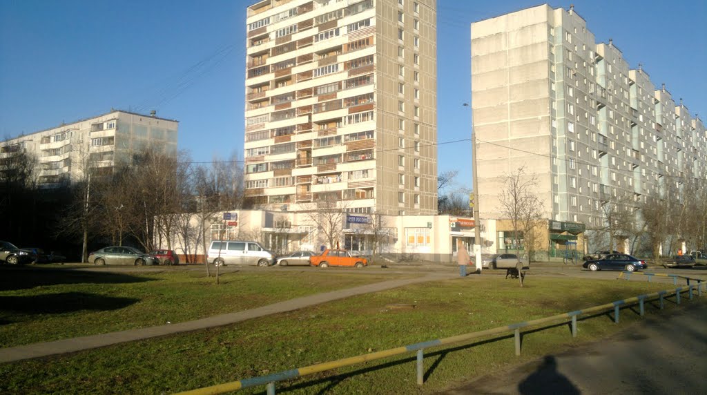 Кошкин дом и столичная квартира Александра Олешко