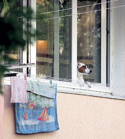 Где проживает известный юморист и ведущий Михаил Галустян