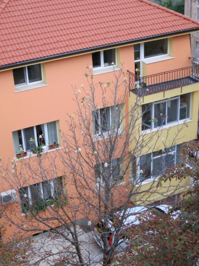 Квартира в Люблино, дом в Юрьево и другая недвижимость Юрия Лозы