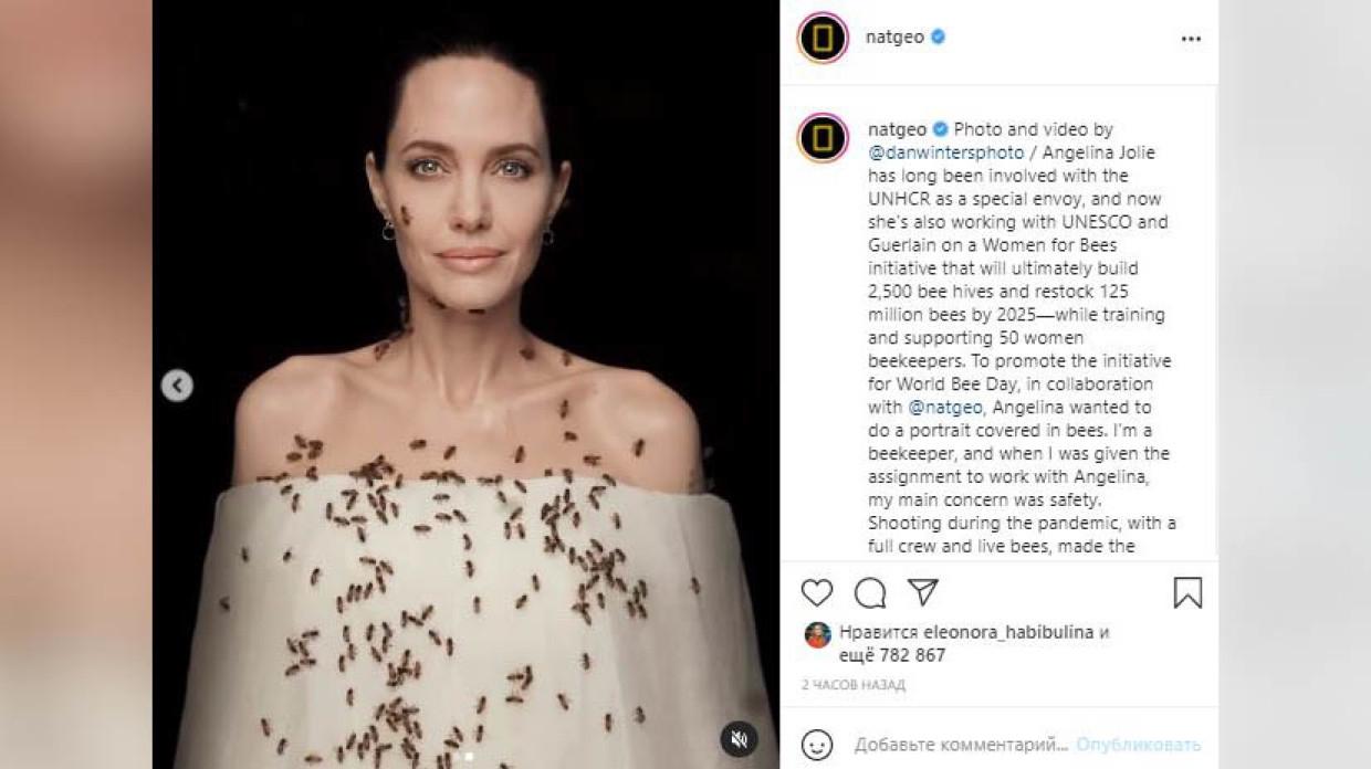 Анджелина Джоли снялась в странной фотосессии с пчелами